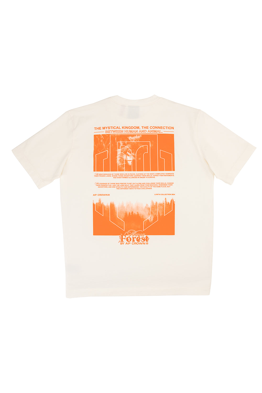 VEILED T-SHIRT