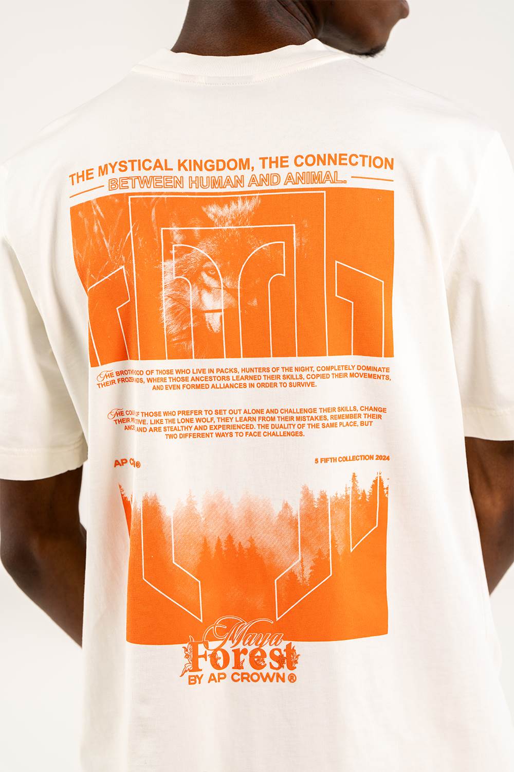 VEILED T-SHIRT